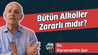 Bütün Alkoller Zararlı Mı  Alkol Bağımlılığı  Dr Keramettin Şar [upl. by Onafets]