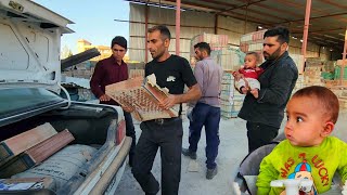 Life of a Nomadic Father and his Infant in the Mountains  Seifallah and Arads Journey [upl. by Ignatia]