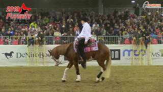 Futurity 2019  LUKAS CZECHOWICZ amp COPYRIDE score 2235 [upl. by Aicenet]