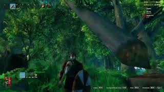 Valheim Gameplay only 20241125 2243 [upl. by Frierson]