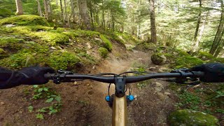 Pyrenees  MTB  Trail Eth Sanglier  Chunky rocks slippery roots and a million of tight corners [upl. by Rizzo]