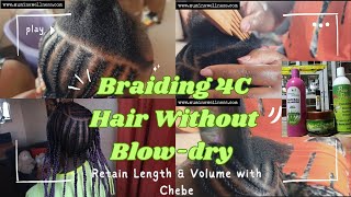 How to make Natural 4C Hair Manageable without Heat  Protective Styling amp Safe Hair Products [upl. by Materse5]