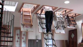 Murphy Larkin Attic Stairs Attic ladders [upl. by Atsylac]