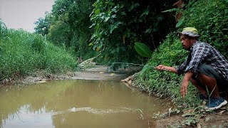 Belum Lama Mancing Langsung Di Sambar Ikan Gabus [upl. by Dygall20]