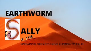 EARTHWORM SALLY SPREADING DISEASES FROM FLORIDA TO CALI [upl. by Efron]