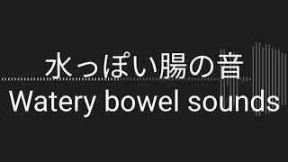 お腹の音Rumbling stomach体調不良時の水っぽい腸の音Watery bowel sounds when unwell [upl. by Buzzell]