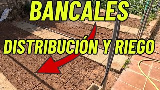 🌱Distribución de bancales y riego💧 [upl. by Esnofla812]