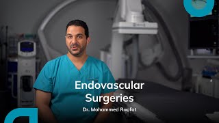 What Are Endovascular Techniques Vascular Surgery Innovations Explained by Dr Mohammed Raafat [upl. by Pain64]