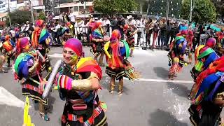 Desfile de Colectivos Coreográficos Carnaval de Negros y Blancos 2023 [upl. by Yras]