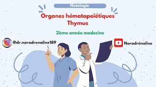 thymus histologie 2ème année medecine شرح بالدارجة و الرسم [upl. by Minna]