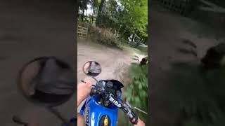 race German shepherd vs motorbike Yamaha tdr 80 [upl. by Linsk]