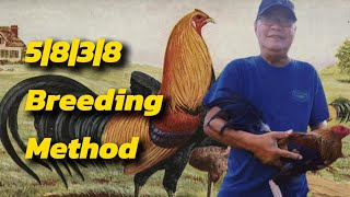 5838 Breeding Method [upl. by Peckham]