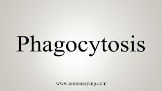 How To Say Phagocytosis [upl. by Vivia]