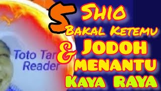 5 Shio bakal ketemu JODOH  Menantu KAYA RAYA dalam waktu dekat [upl. by Ahron]