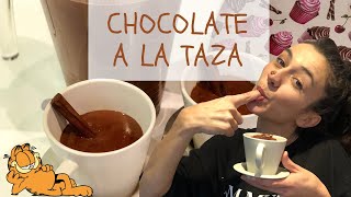 Cómo Hacer Chocolate a la Taza 🤤 ¡CASERO y ESPESO [upl. by Mattson]