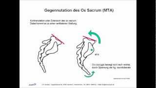 ISG Ilio Sacral Gelenk Biomechanik Manuelle Therapie Osteopathie Skript [upl. by Anide]