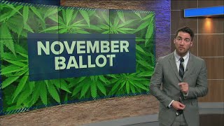 Ohio voters could legalize marijuana in November [upl. by Calista]