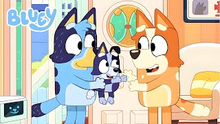 BLUEY SURPRISE EPISODE IN 8 MINUTES Season 3 Finale [upl. by Rufford10]