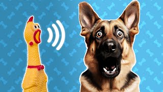 5 Squeaky Toy Sound For Dogs  Dog Sounds and Noises [upl. by Zobkiw]