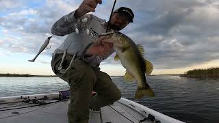 Bass fishing Fellsmere lake  October 2024 [upl. by Worthy518]