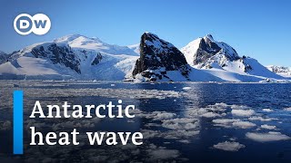 Antarctica breaks 20degreeCelsius barrier  DW News [upl. by Bartosch]