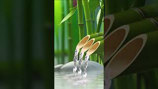 Soothing Relax Music Nature Sounds relaxing meditationmusic watersounds bamboo sleepmusic [upl. by Laniger]