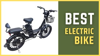 Best Electric Bike  OEM 20 Inch Fat Tire Household Electric Bike Review in 2025 [upl. by Eanert]