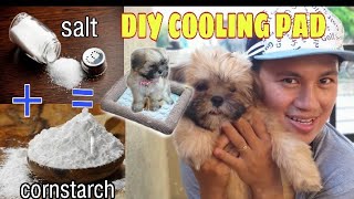 DIY COOLING PAD  DIY COOLING MAT SHIHTSU DOG SOLOSYON SA TAGINIT [upl. by Laurentia]