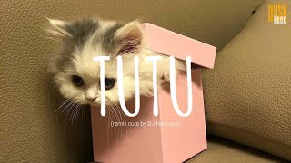 Vietsub  Lyric Tutu remix cute  Alma Zarza x DJ Nansuya  Tik Tok Song [upl. by Eisinger]