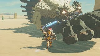 Fully Powered Master Sword DESTROYS MolduKing  Zelda Breath of the Wild [upl. by Beckman755]