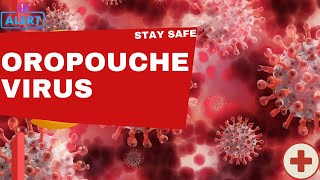 Oropouche Virus The Silent Threat Spreading Across the Globe [upl. by Kutzer]