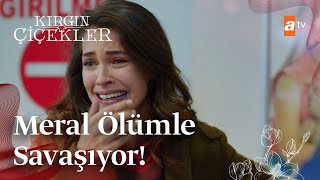 Meral hayata tutunabilecek mi  Kırgın Çiçekler Mix Sahneler [upl. by Tattan791]