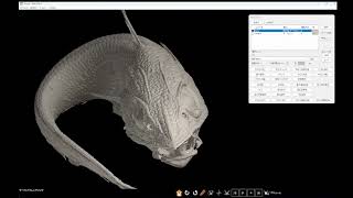 CT Image Visualization of Deepsea Fish Skeleton  MolcerPlus [upl. by Adav]