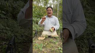 How to ripen bananas quickly shorts bushcraft outdoor viralvideo camping forest skills [upl. by Shaffert]