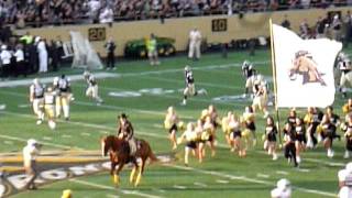 WMU Football Horse quotTriumphquot [upl. by Kcerred264]