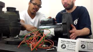 Jandy Stealth Pool Pump Seal Housing Removal [upl. by Retla971]