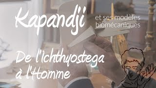 A Kapandji de lichthyostega à lHomme de la nageoire au membre supérieur [upl. by Bovill512]