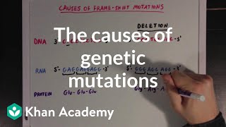 The causes of genetic mutations  Biomolecules  MCAT  Khan Academy [upl. by Riella702]