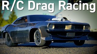 How to Get Started in RC Drag Racing with the DR10 [upl. by Alverson889]