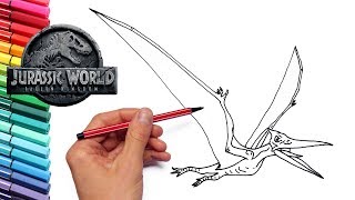 How to Draw Flying Dinosaur Pteranodon From Jurassic World  Dinosaur Color Pages For Kids [upl. by Elyak879]