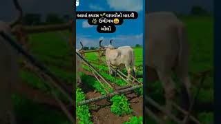 ખેડુત પુત્ર 🌱🌱shortvideo sotsfeed [upl. by Juieta2]