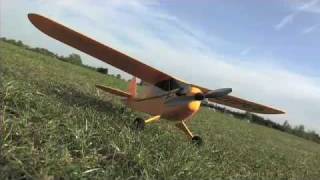 Parkzone Ultra Micro Piper Cub [upl. by Repotsirhc716]