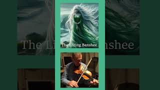 Lilting Banshee fiddle celtic [upl. by Hadnama432]