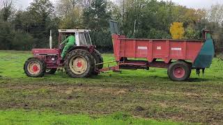 Épandage de fumier 2023 Case IH 1055XL [upl. by Raddie]