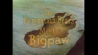 The Berenstain Bears Meet Bigpaw  full NBC television Thanksgiving special 1980 [upl. by Easton509]