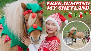 FREE JUMPING CLOUDY MY SHETLAND PONY HARLOWS VLOGMAS [upl. by Averat]