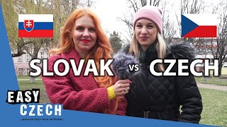 Differences Between Czech and Slovak  Easy Czech 25 [upl. by Acinok]