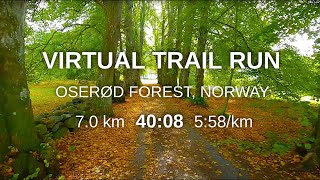 Virtual Trail Run  Oserød Forest Nøtterøy Norway  Autumn  Sunshine  Forest Trails  Treadmill [upl. by Ybbil811]