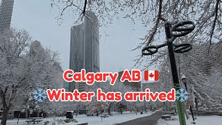 Calgary Alberta 🇨🇦  Winter has arrived [upl. by Sutherlan]