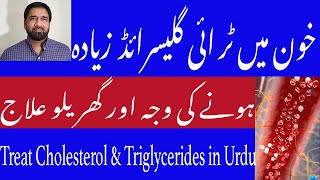 Causes and Treatment of High Triglycerides Level in Blood  Khoon me charbi ki waja ur elaj in Urdu [upl. by Kippy]